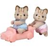 Sandy Cat Twins