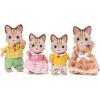 Sandy Cat Family