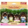 image:imageCalico Critters Pickleweeds Hedgehog Family Set of 4 Collectible Doll Figures